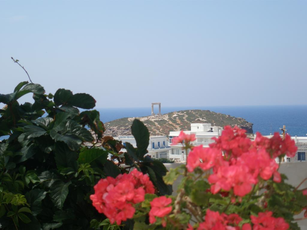Chateau Zevgoli Naxos City Eksteriør bilde